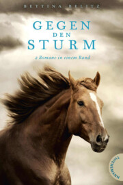 Cover von Gegen den Sturm